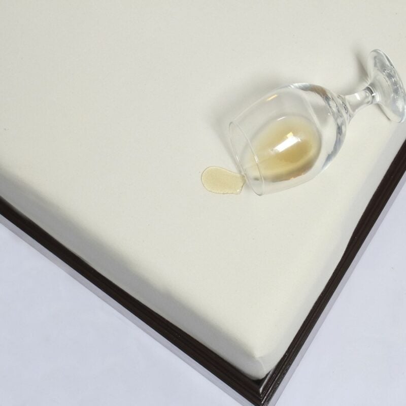 Organic Cotton Waterproof Mattress Protector