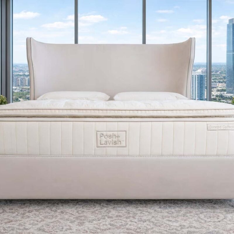 Curated Collection Base Mattress 3in Top Mattress