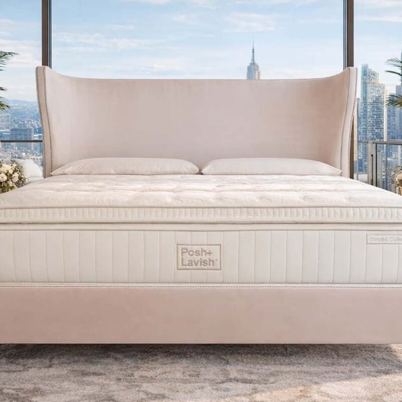 Curated Collection Base Mattress 4in Top Mattress