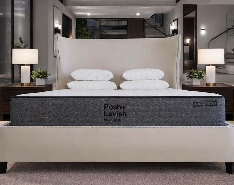 Haute Couture Base Mattress